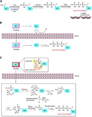 Advanced prodrug strategies in nucleoside analogues targeting the treatment of gastrointestinal malignancies